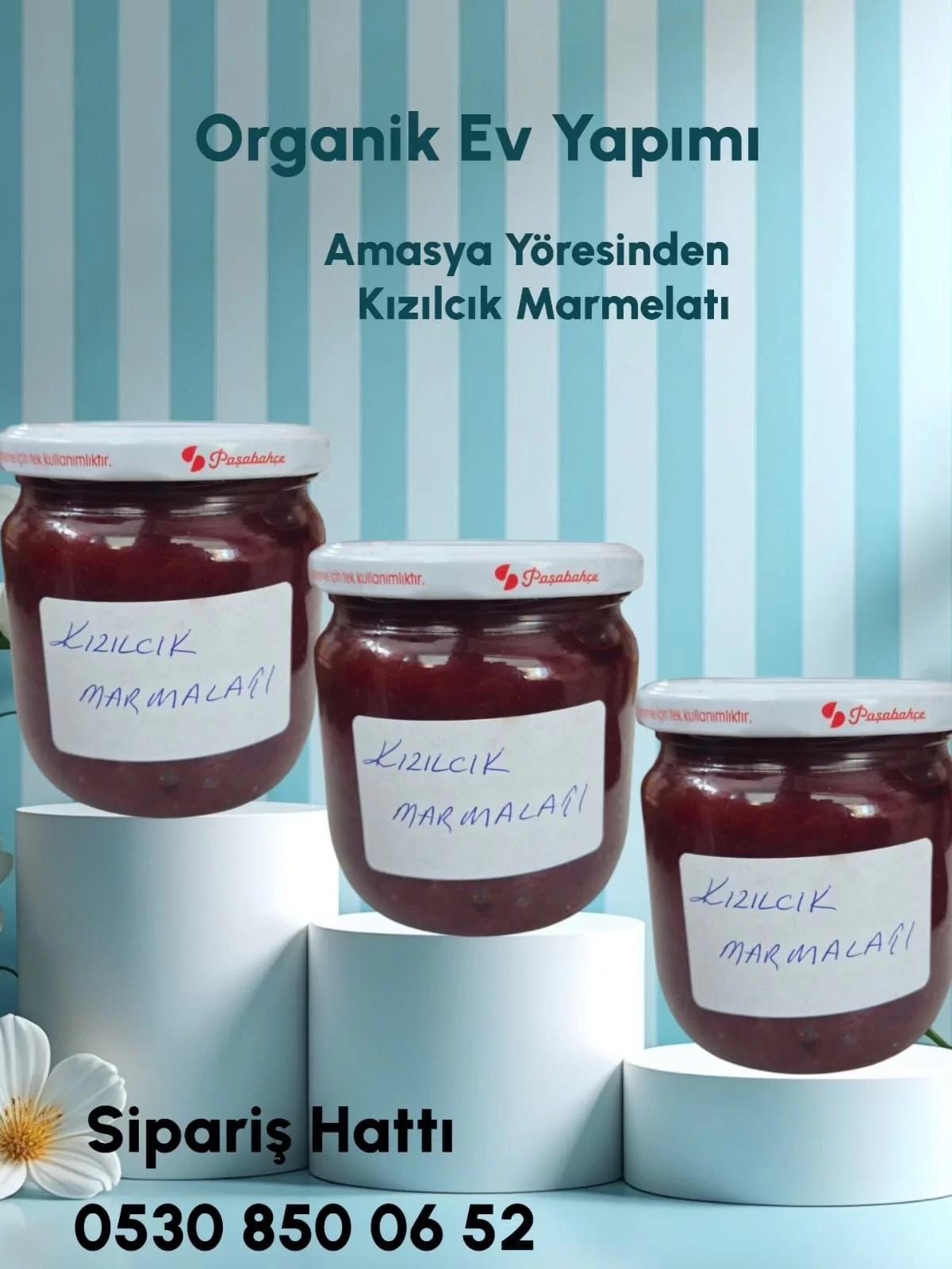 Kızılcık Marmelatı 710 gr