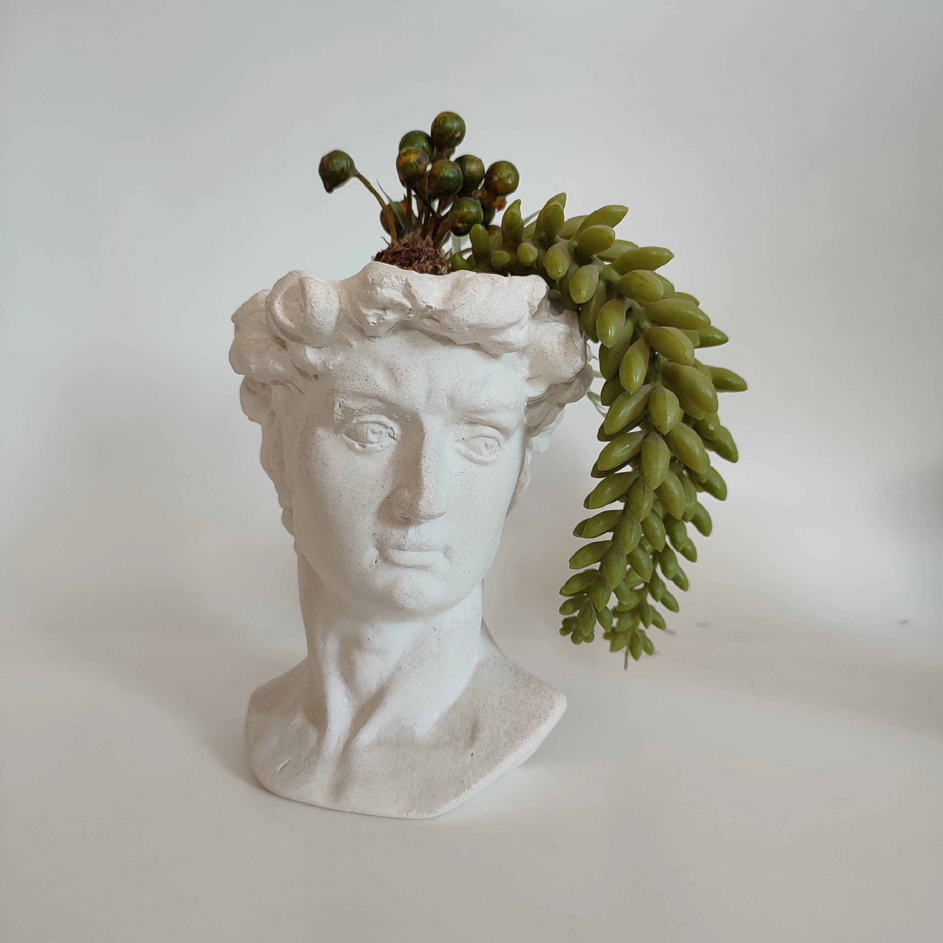 Sand David Büst | Saksı