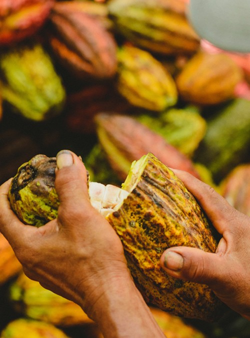 Peru San Martin Nitelikli Yöresel Çikolata