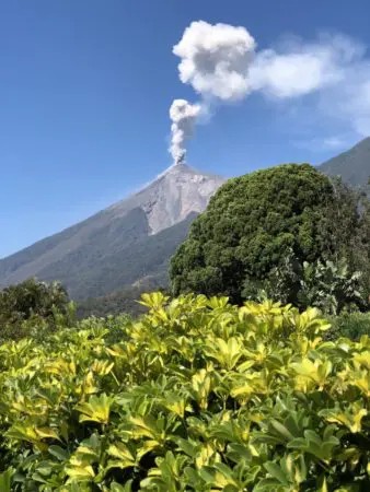 Guatemala Genuine Antigua Pastoral SHB EP