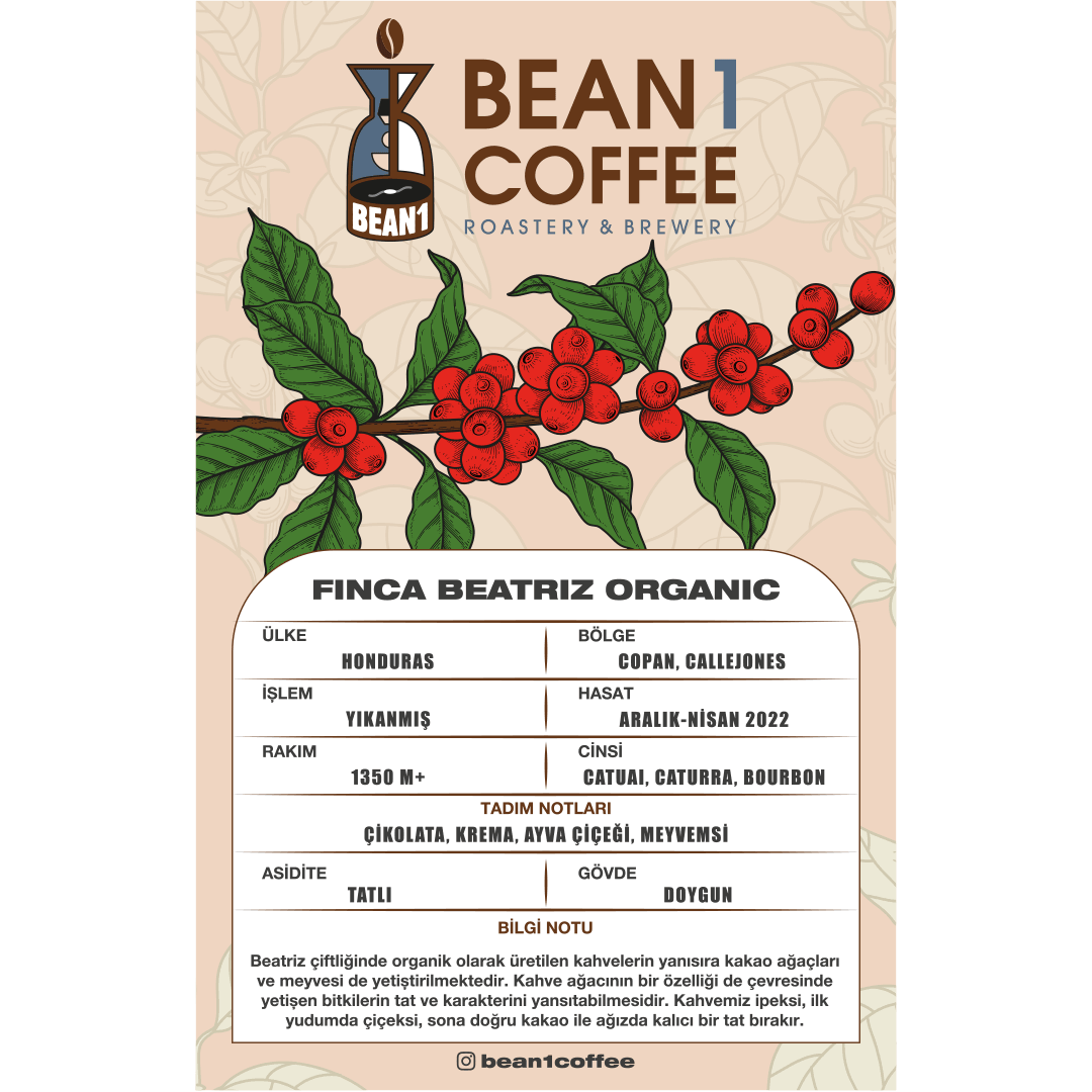 Honduras Finca Beatriz Organic