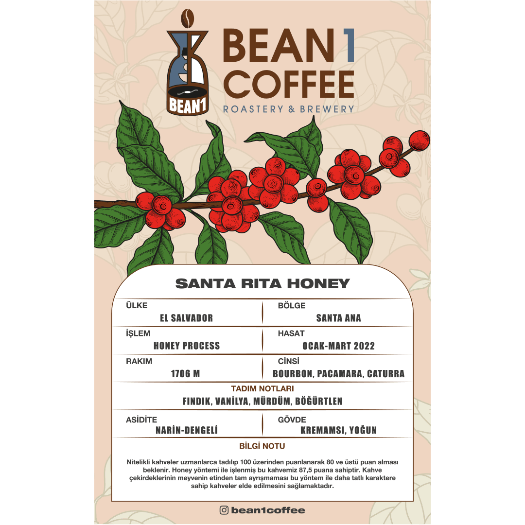 El Salvador Santa Rita Honey