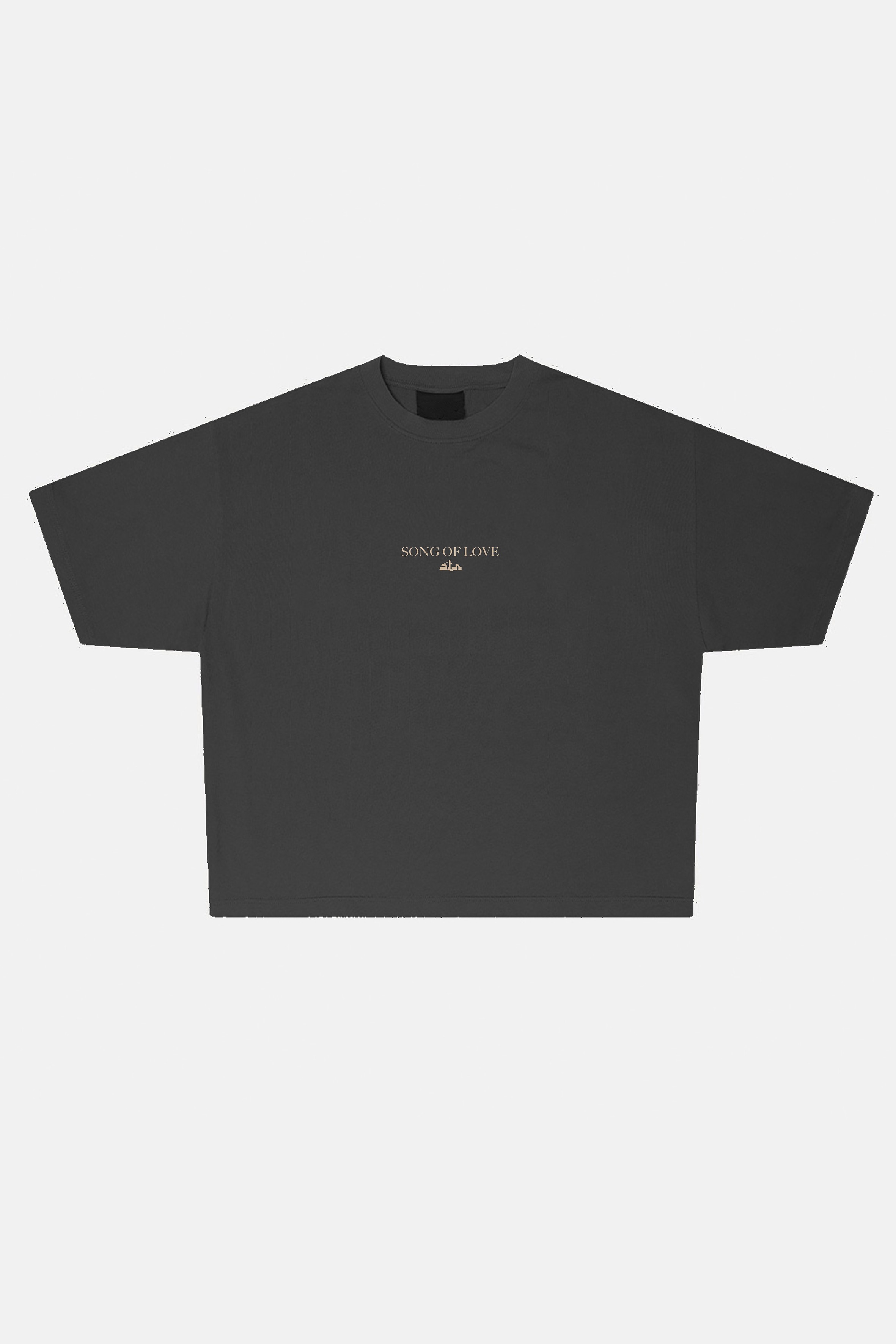 SONG oversized t-shirt