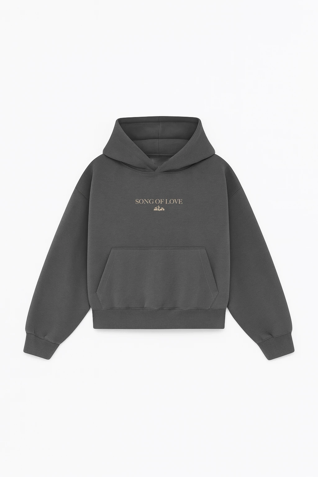 SONG Oversized Hoodie