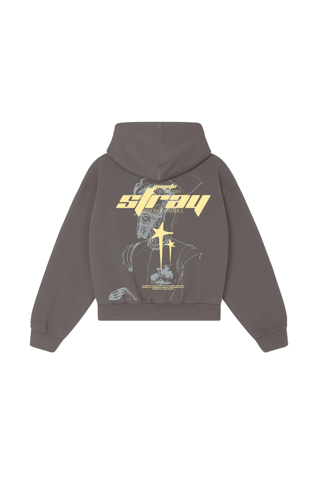 Don Quijote Oversized Hoodie