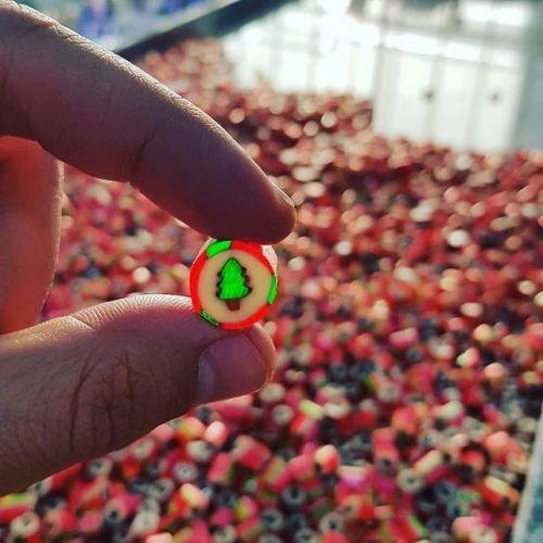 YEŞİL KIRMIZI BEYAZ YENİ YIL ÇAM LOLLY TROPİK MEYVE AROMALI 250 GR