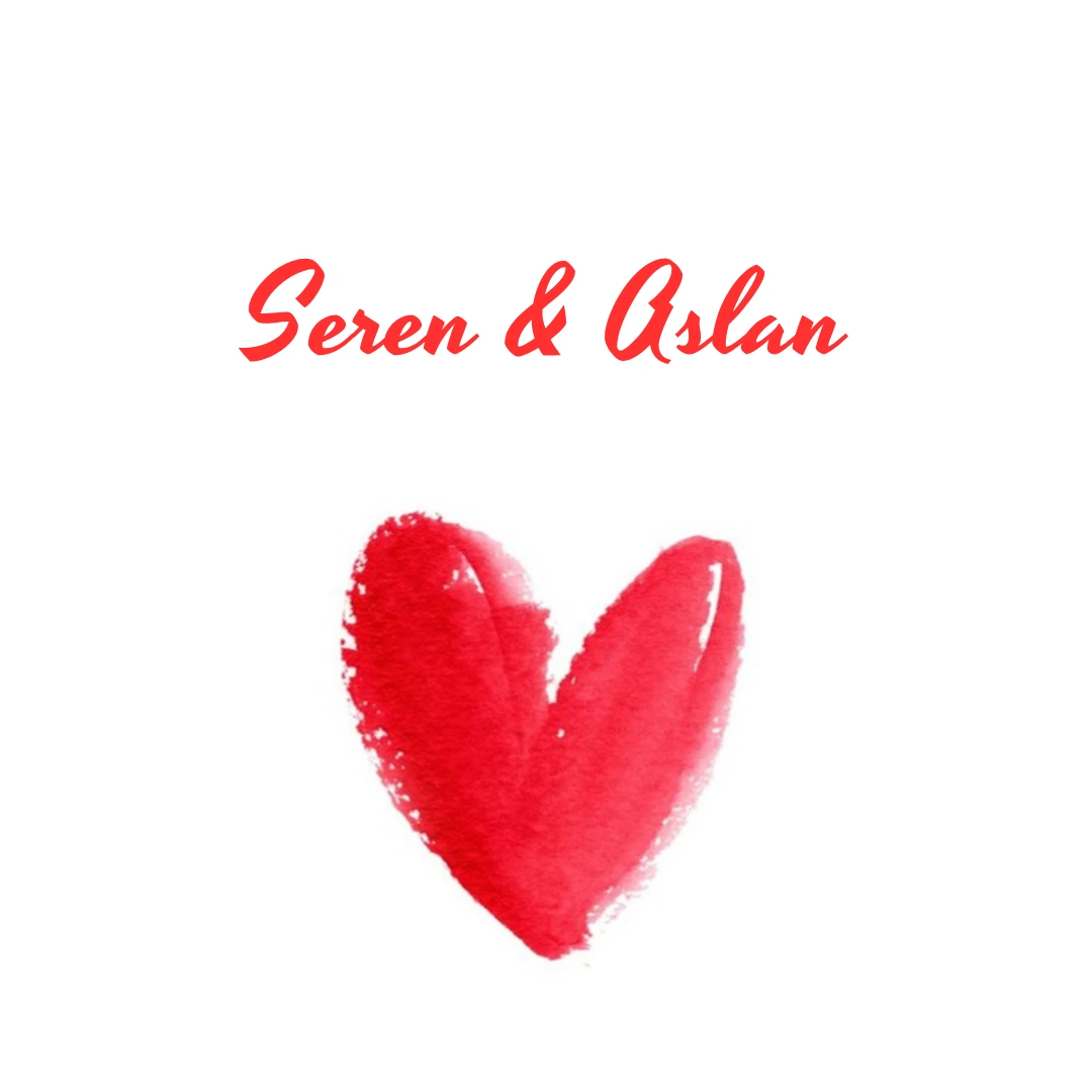 NİŞAN, SÖZ, KINA ETİKET 24 ADET