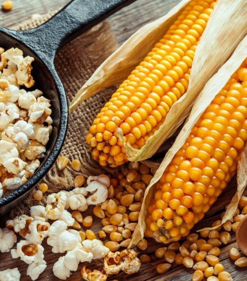 Patlatmalık Cin Mısır 500 gr