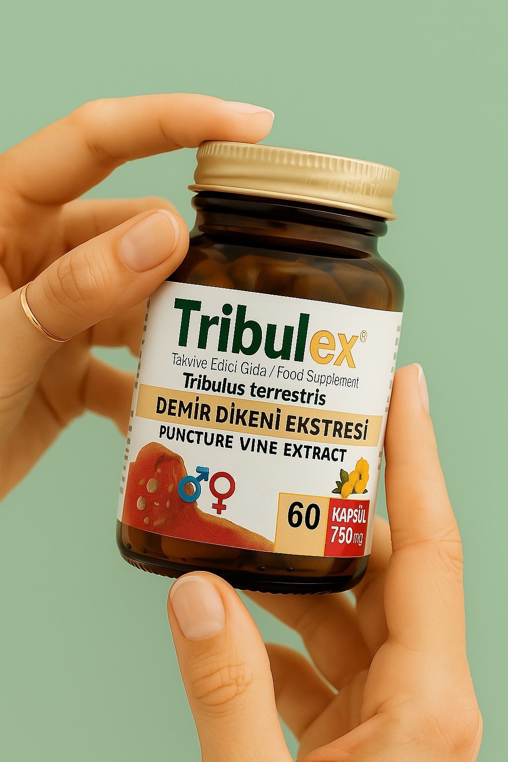 Tribulex 60 Kapsül 750 mg (Tribulus Terrestris Eksresi içerir)