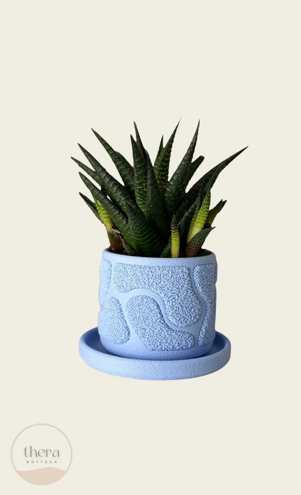 MOSSA Dekoratif Küçük Bitki/sukulent Saksısı - Serenity