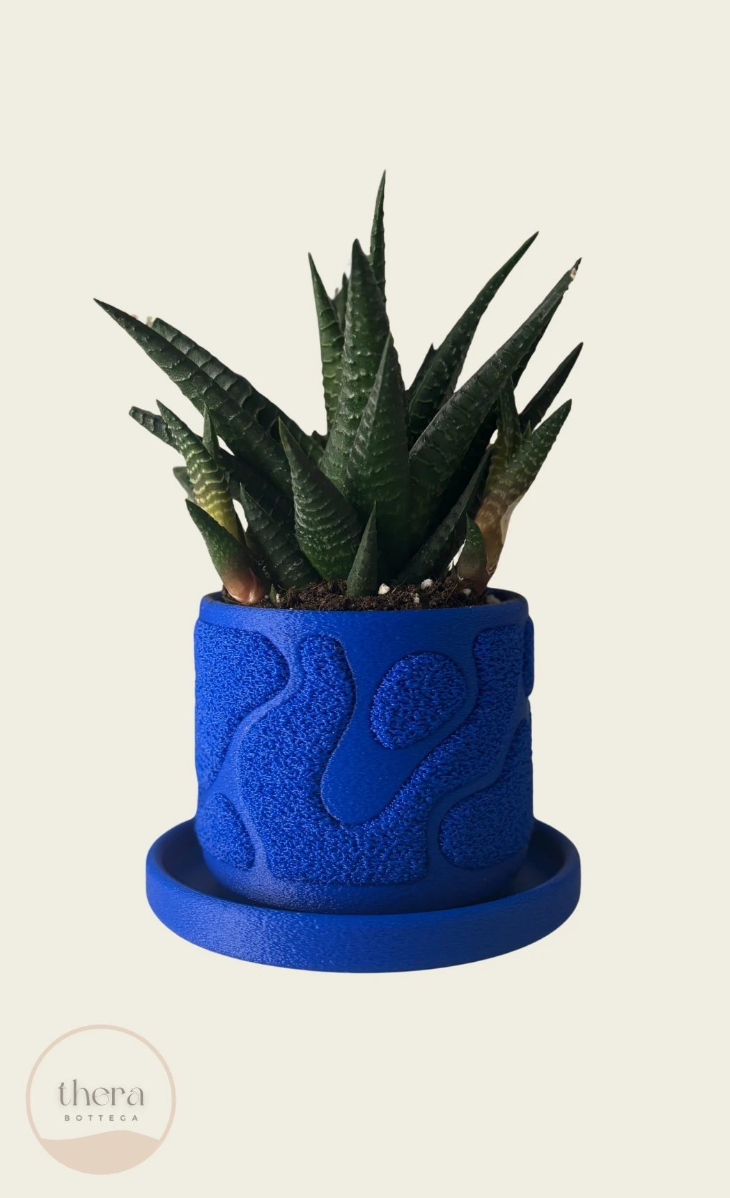 MOSSA Dekoratif Küçük Bitki/sukulent Saksısı - Lacivert