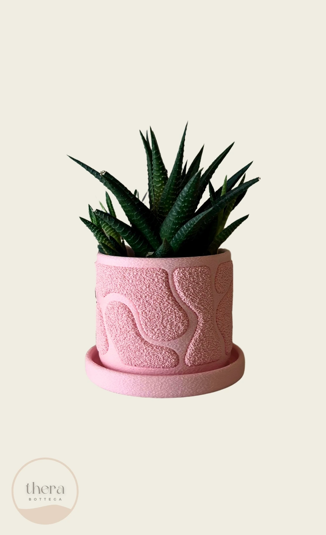 MOSSA Dekoratif Küçük Bitki/sukulent Saksısı - Pembe