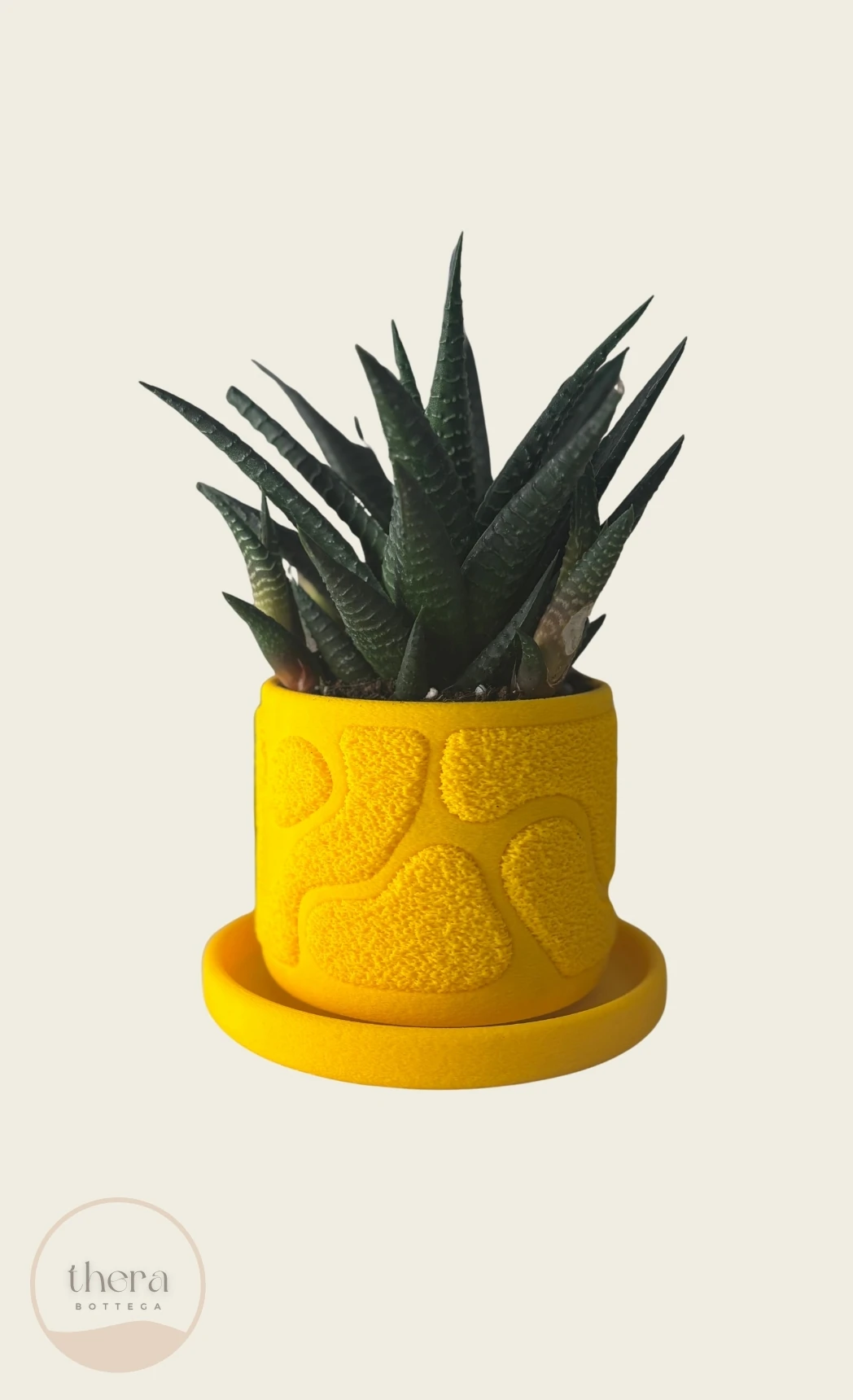 MOSSA Dekoratif Küçük Bitki/sukulent Saksısı - Sarı