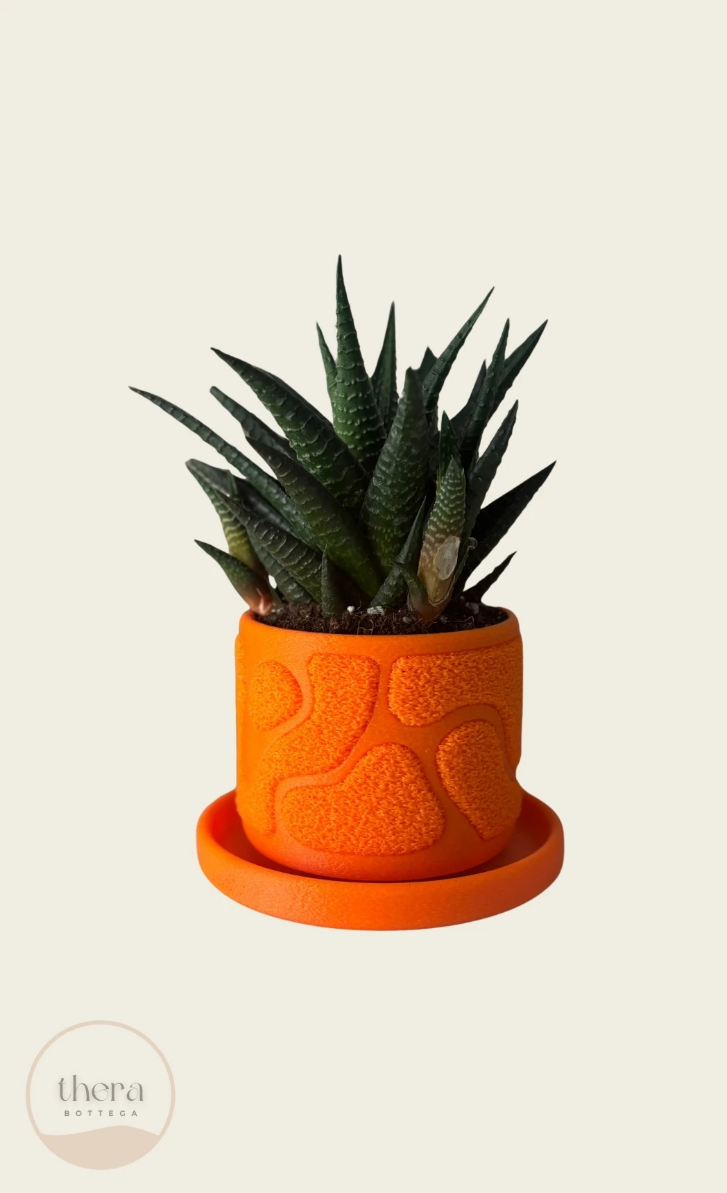 MOSSA Dekoratif Küçük Bitki/sukulent Saksısı - Turuncu