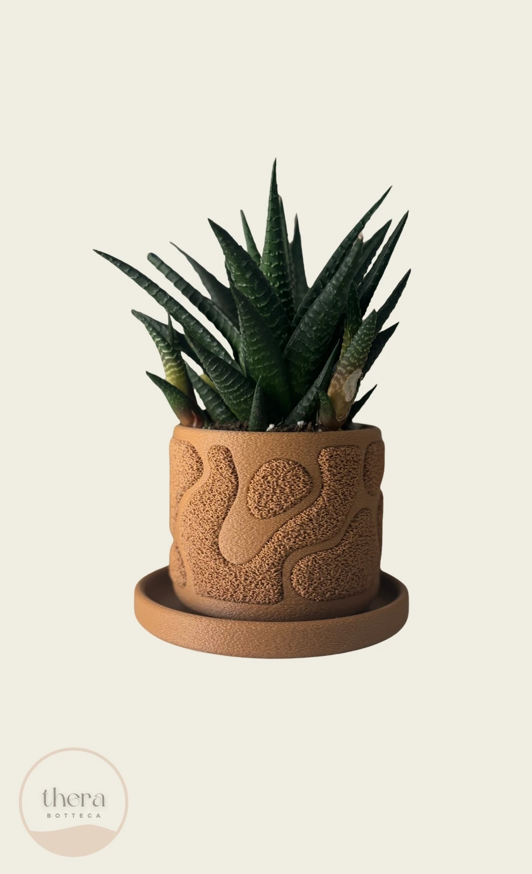 MOSSA Dekoratif Küçük Bitki/sukulent Saksısı