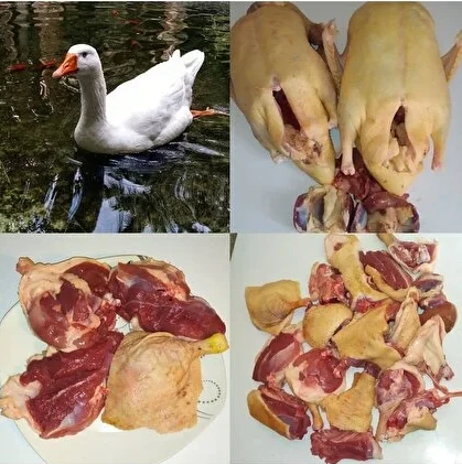 Kaz (Yaş/Taze Kesim) (3 - 4 kg)