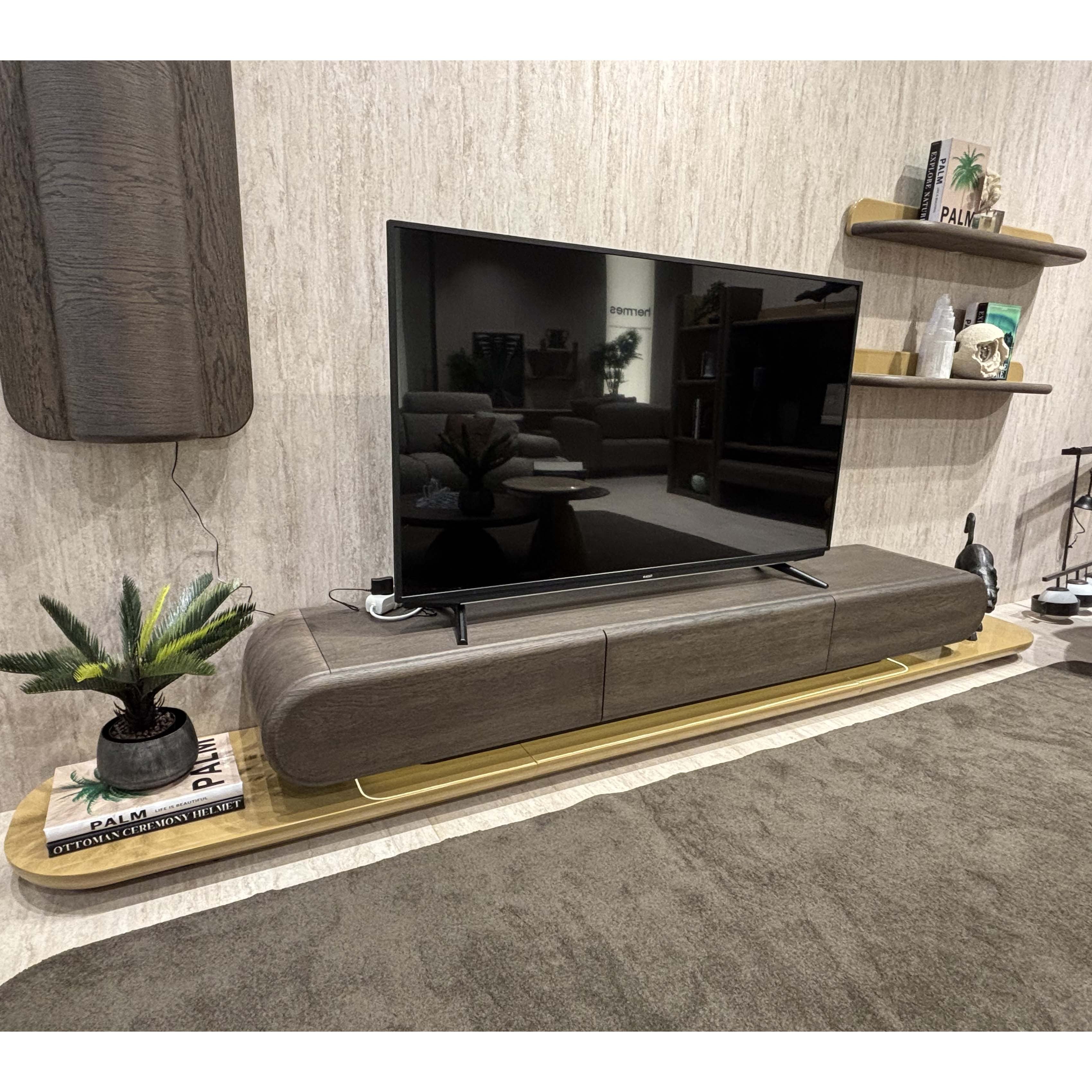 Fly TV Ünitesi