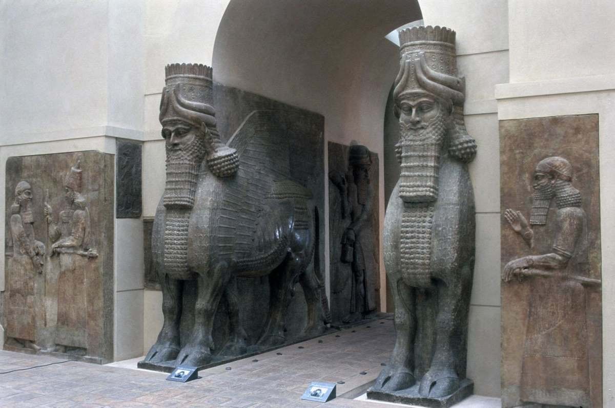 LAMASSU-GOLD & BLACK