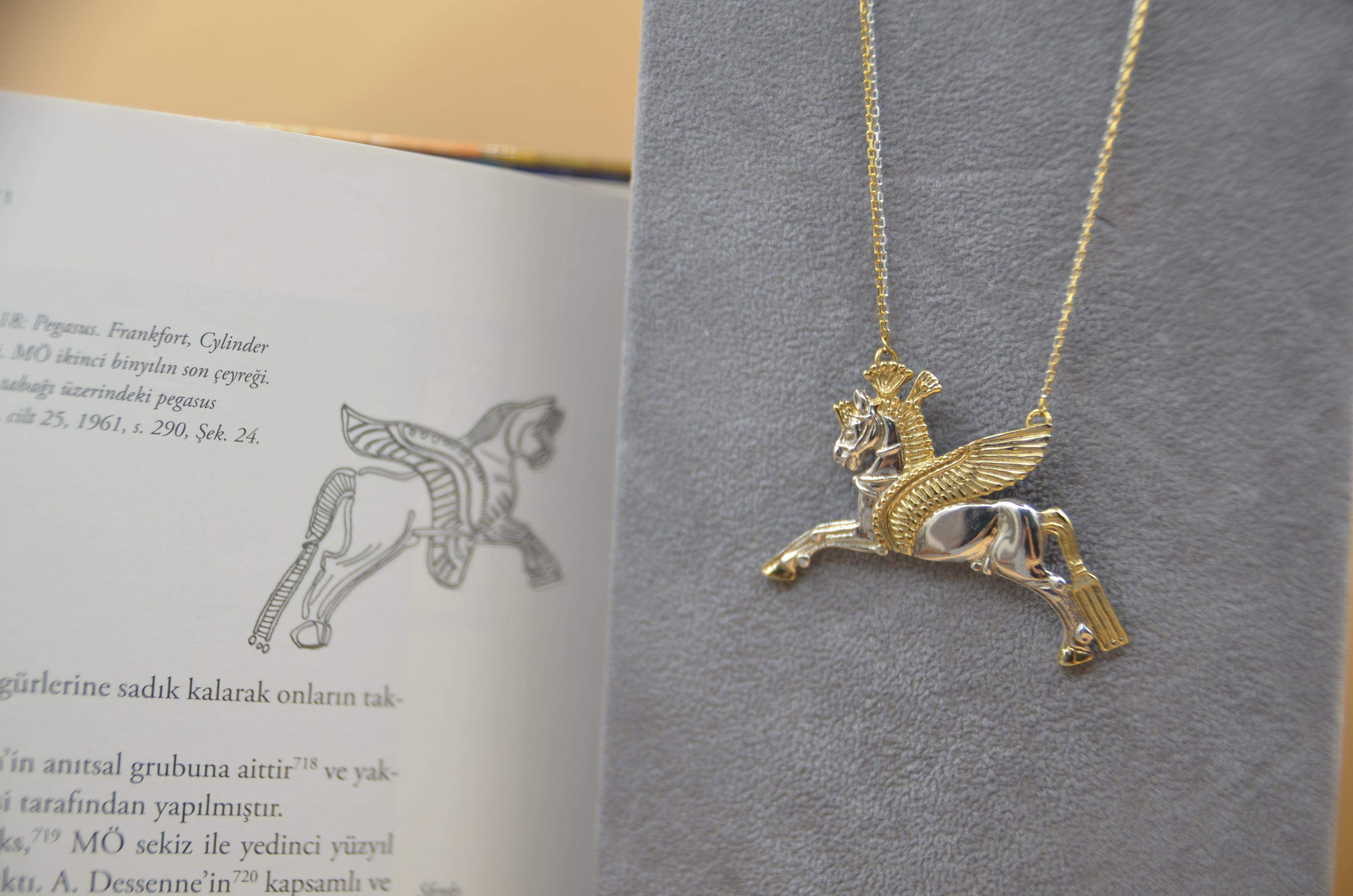 PEGASUS 