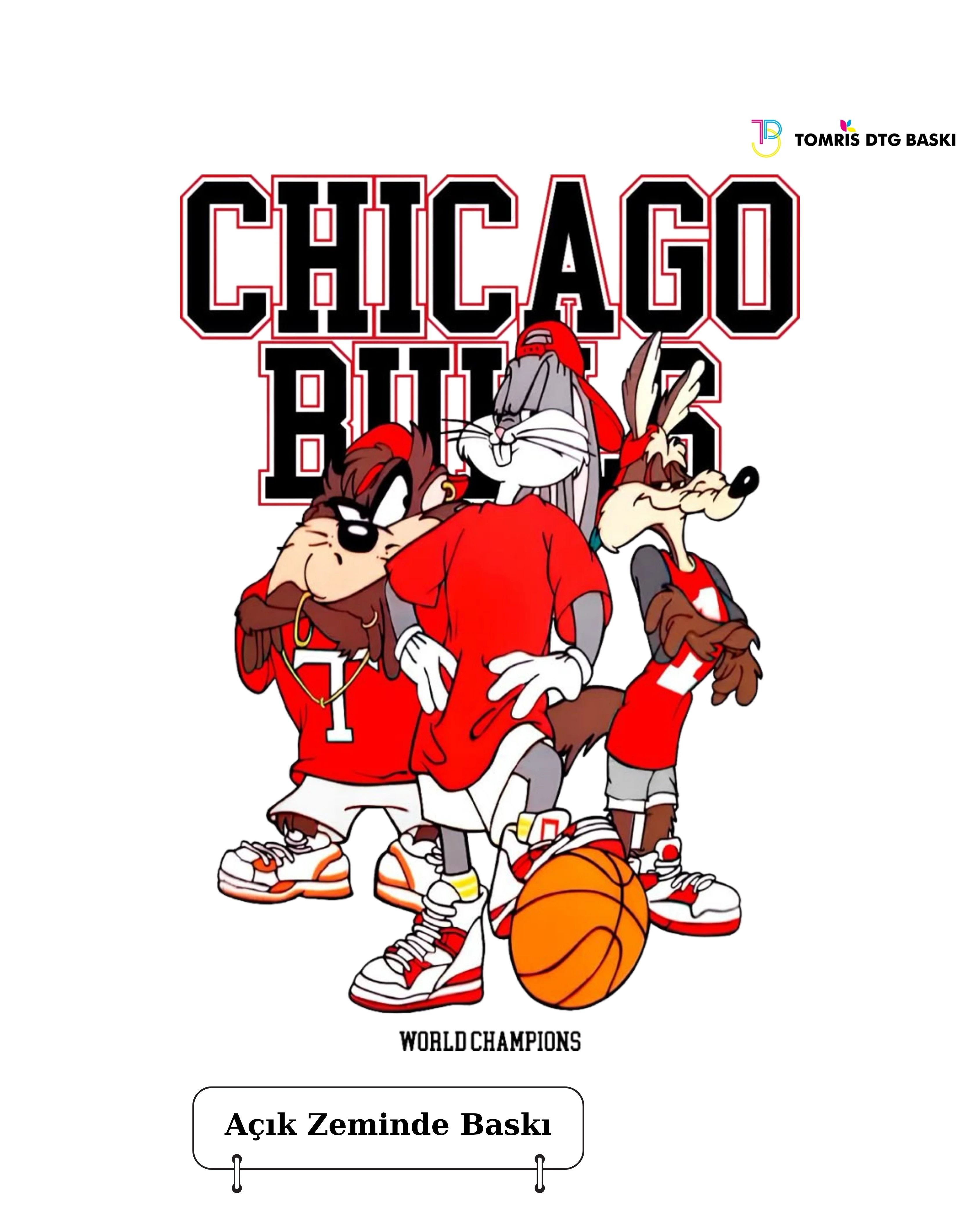 Chicago Bulls Baskılı