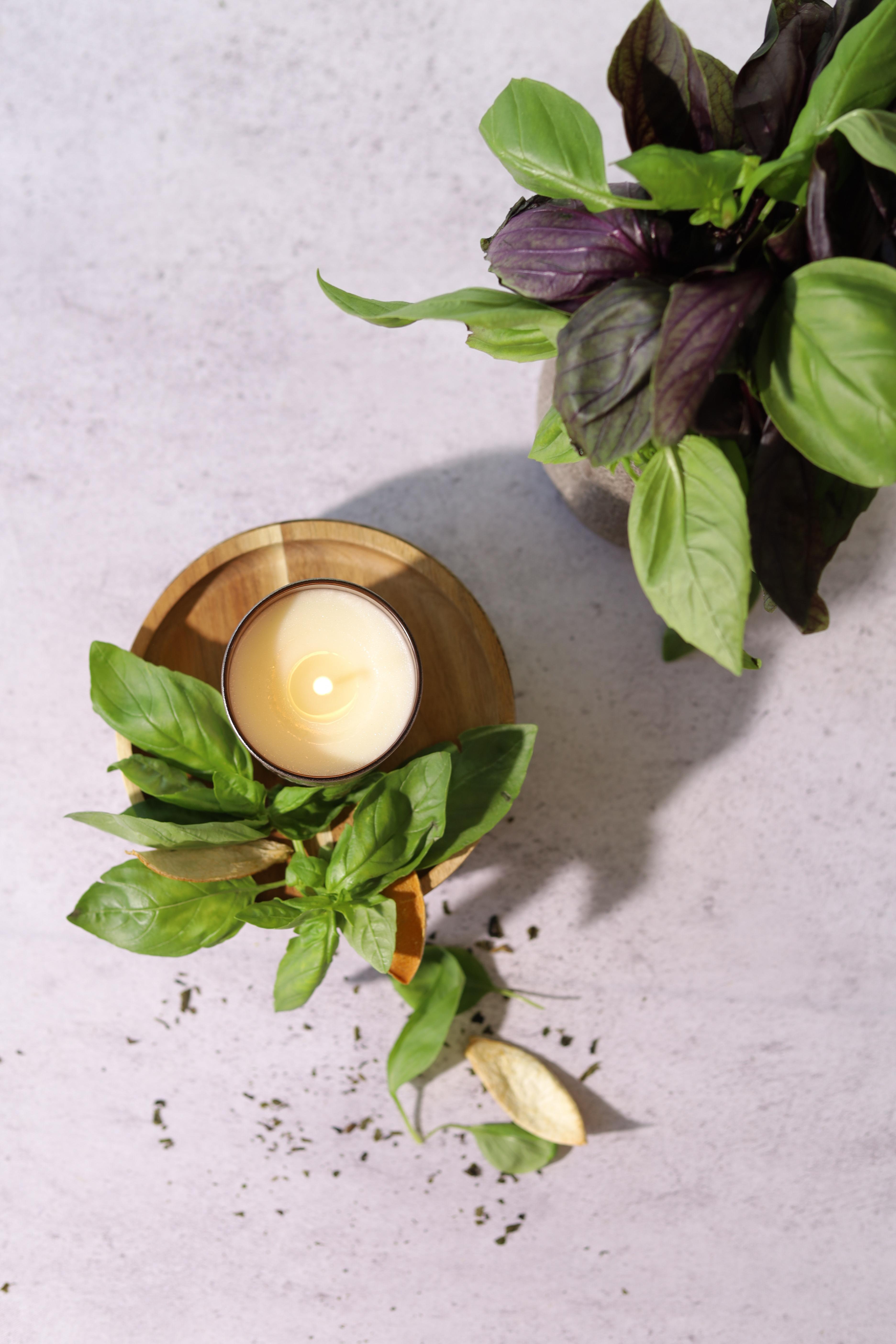 Fresh Basil Cam Mum - Bronze Edition - Small