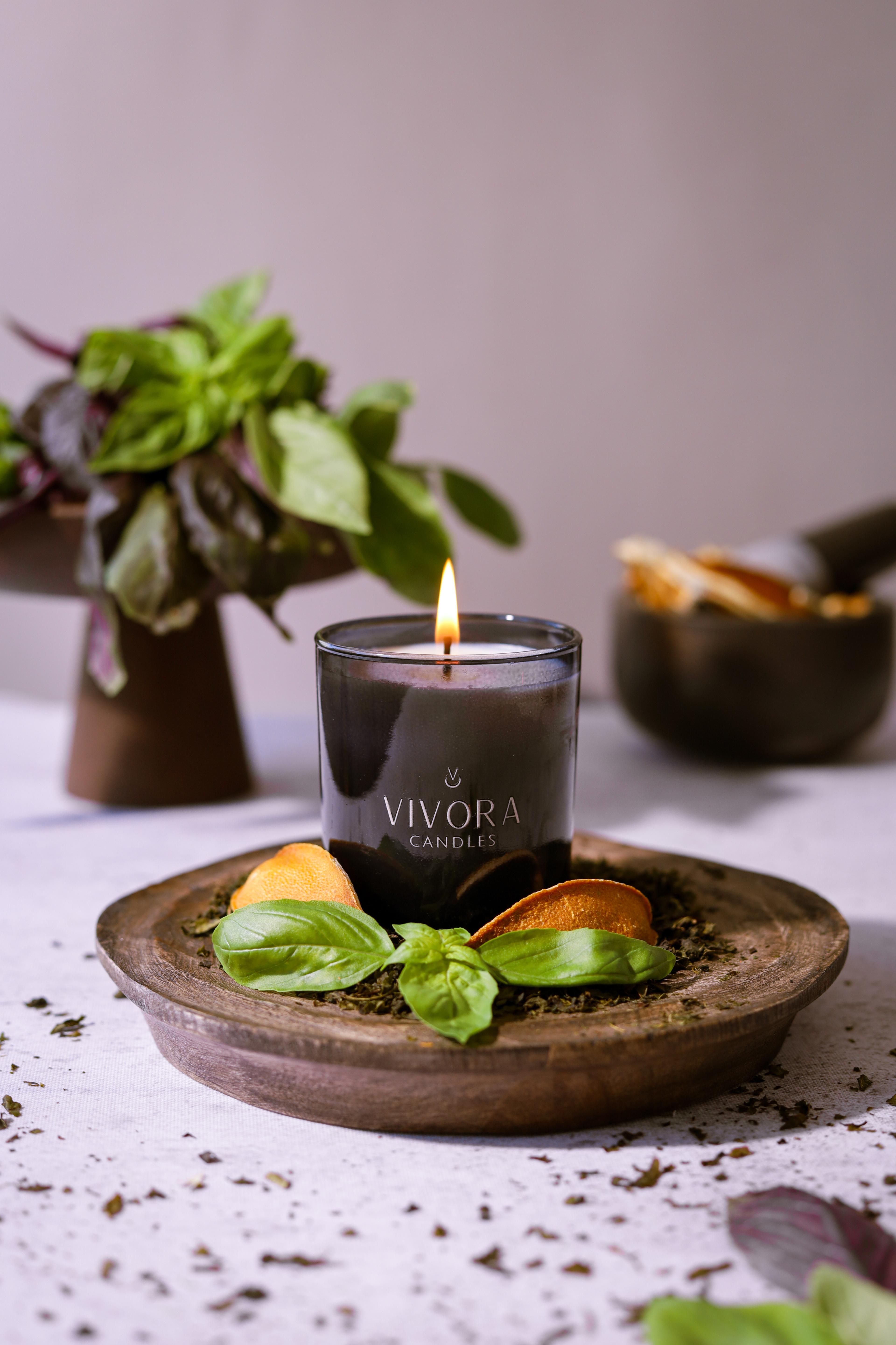 Fresh Basil Cam Mum - Black Edition - Small