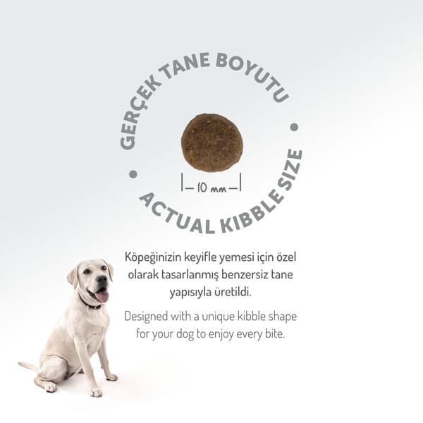 Felicia 15 Kg Kuzulu Az Tahıllı M/Large Yavru Köpek Maması Breed HypoAllergenic Köpek Maması
