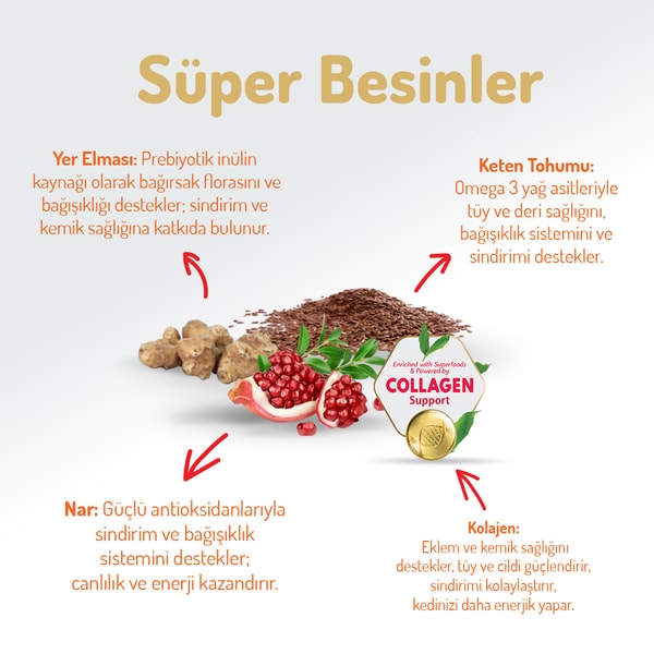 Felicia 12 Kg Kolajenli Somonlu Az Tahıllı Kısırlaştırılmış Kedi Maması HypoAllergenic Kedi Maması