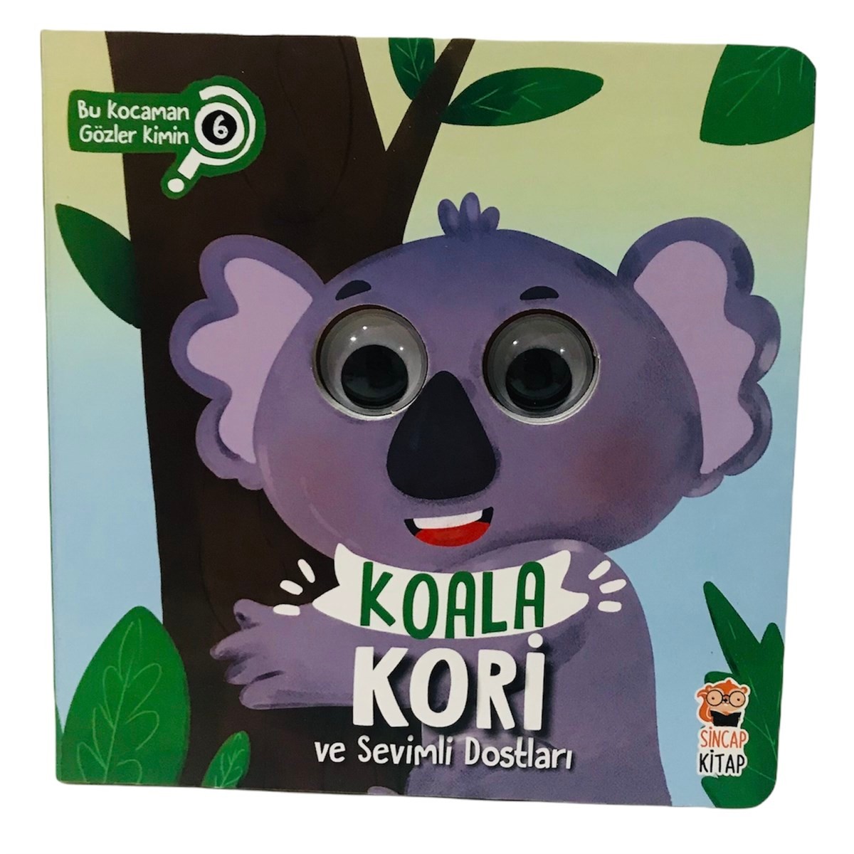 Koala Kori ve Sevimli Dostları Bu Kocaman Gözler Kimin