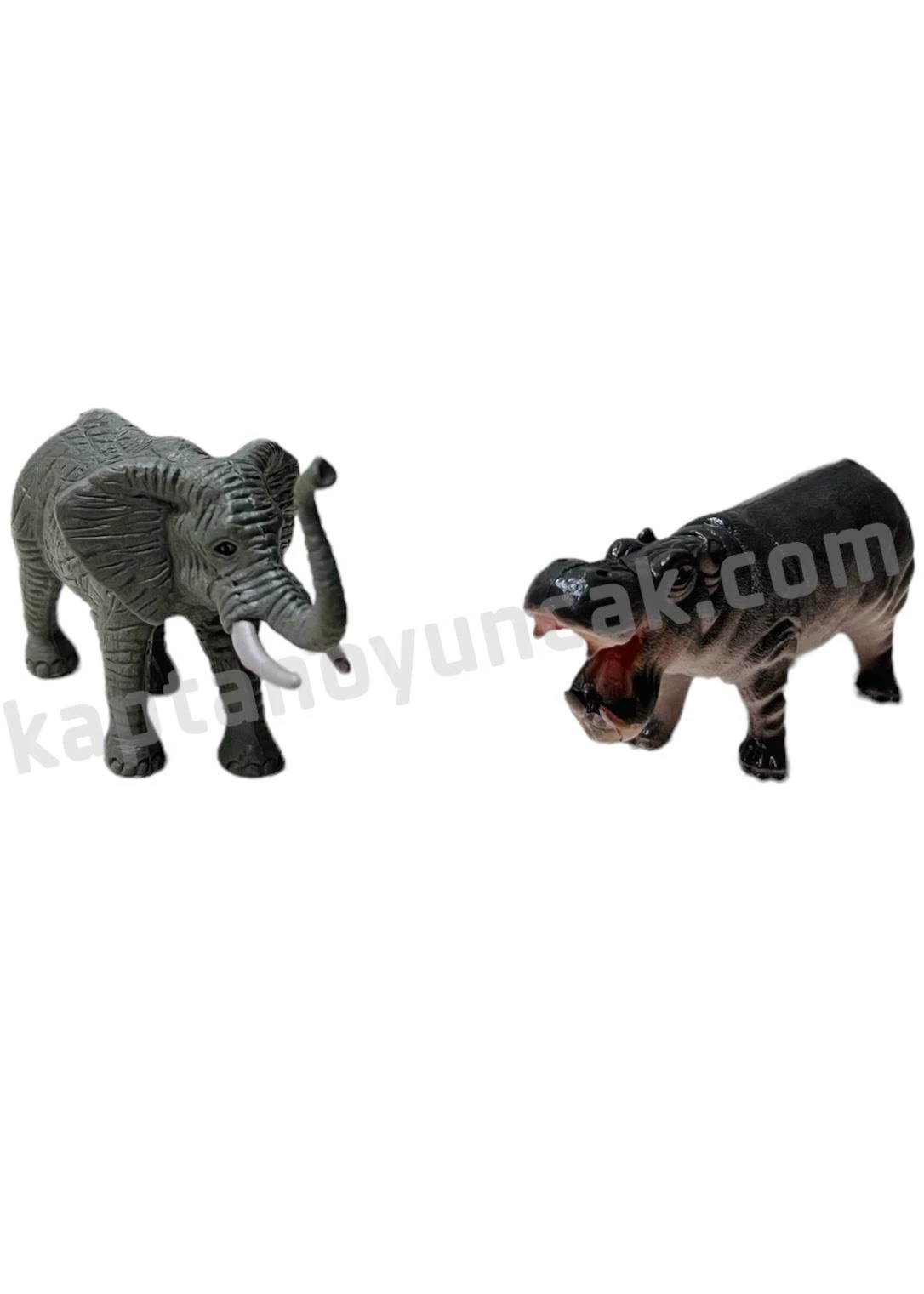 Vardem Kutulu 10 Parça Vahşi Hayvanları