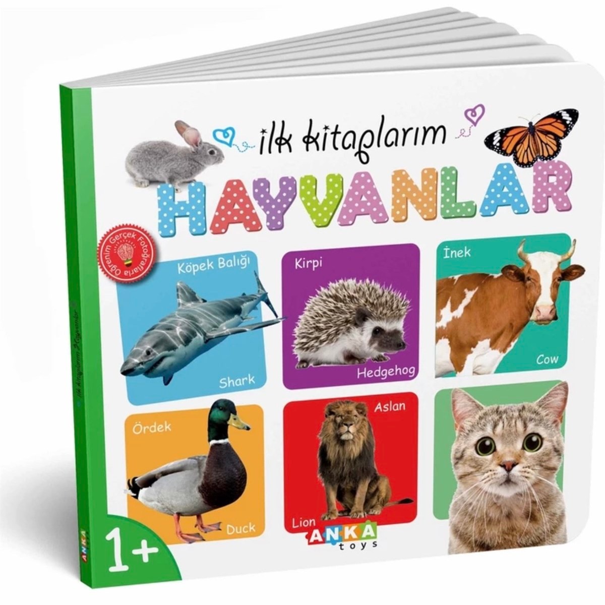 Diytoy İlk Kitaplarım 6lı Kitap Seti - Eğitici Öğretici Oyuncak