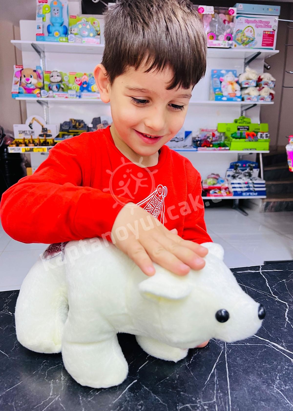 Peluş Boz Ayı 30 Cm