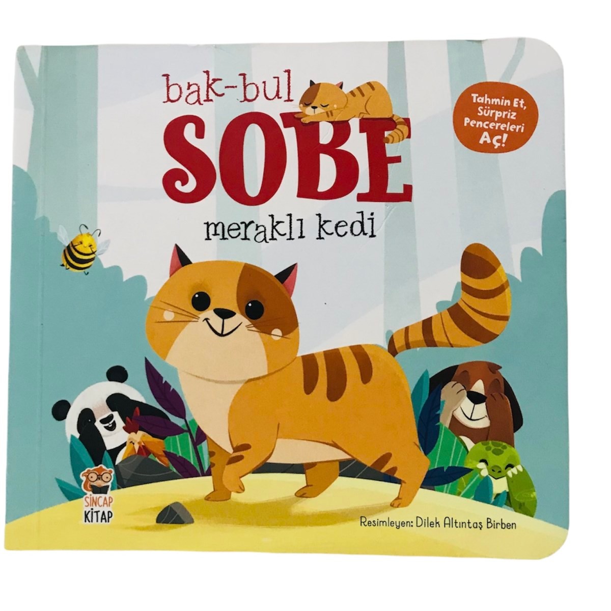 Bak-Bul-Sobe Meraklı Kedi