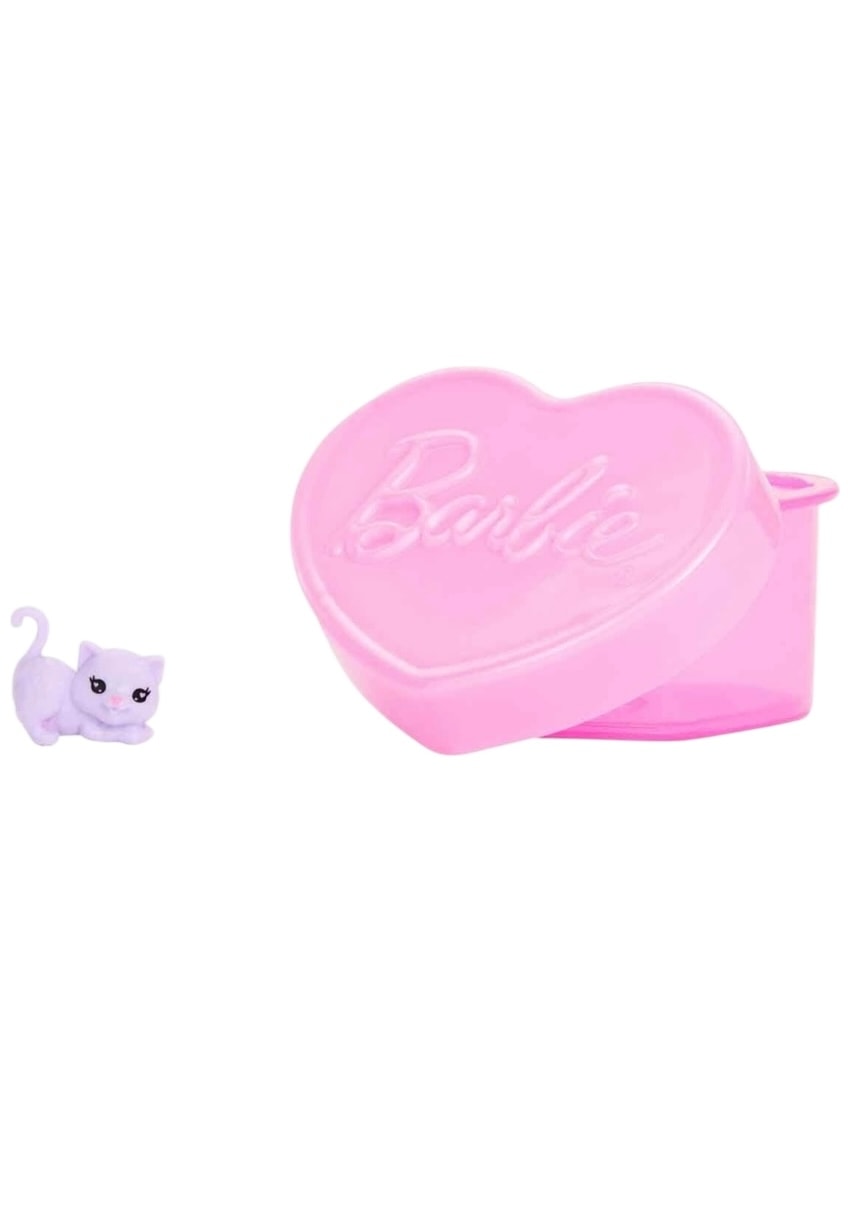Barbie Chelsea Parti Bebeği Sürpriz Paket JFY04