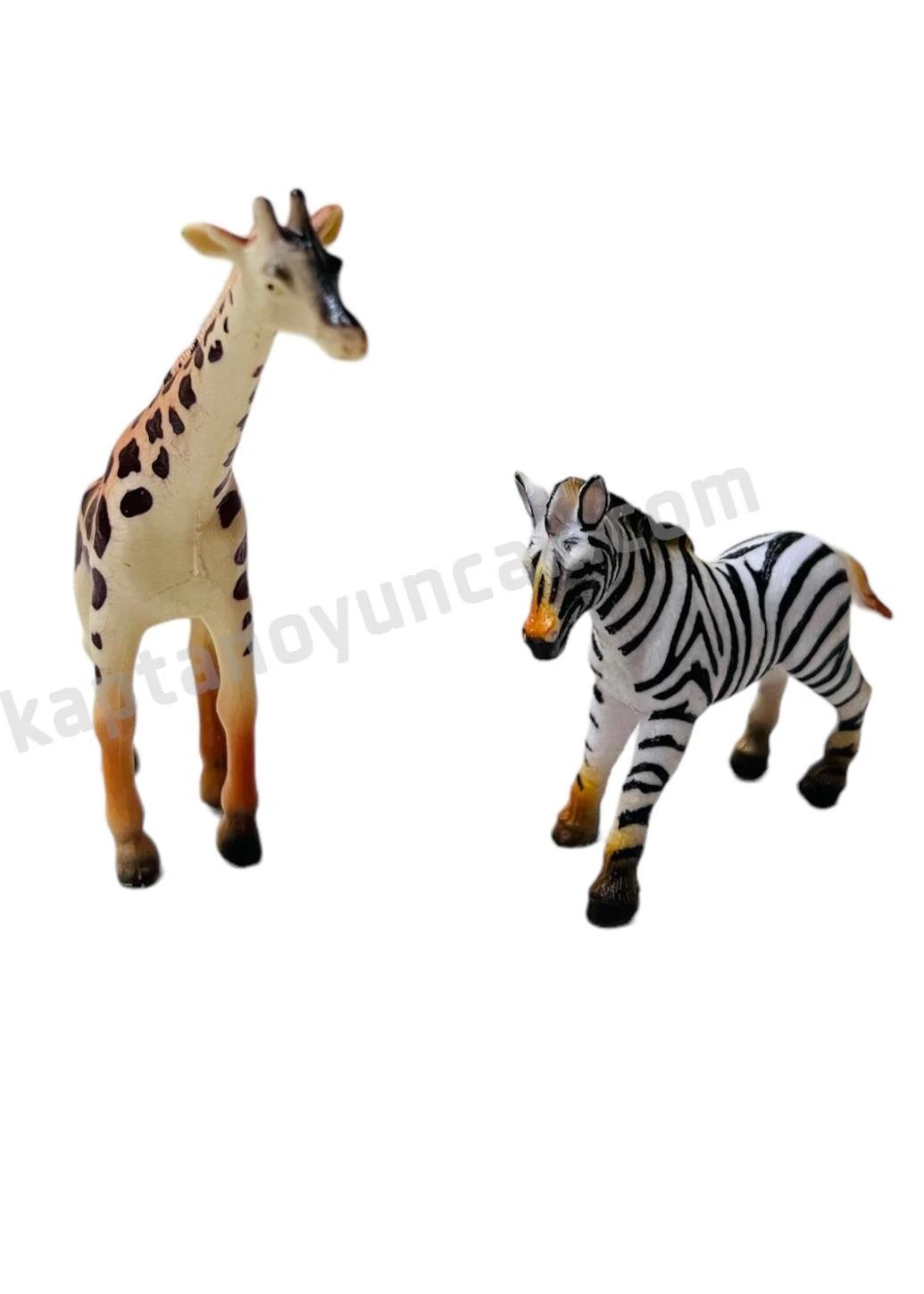 Vardem Kutulu 10 Parça Vahşi Hayvanları