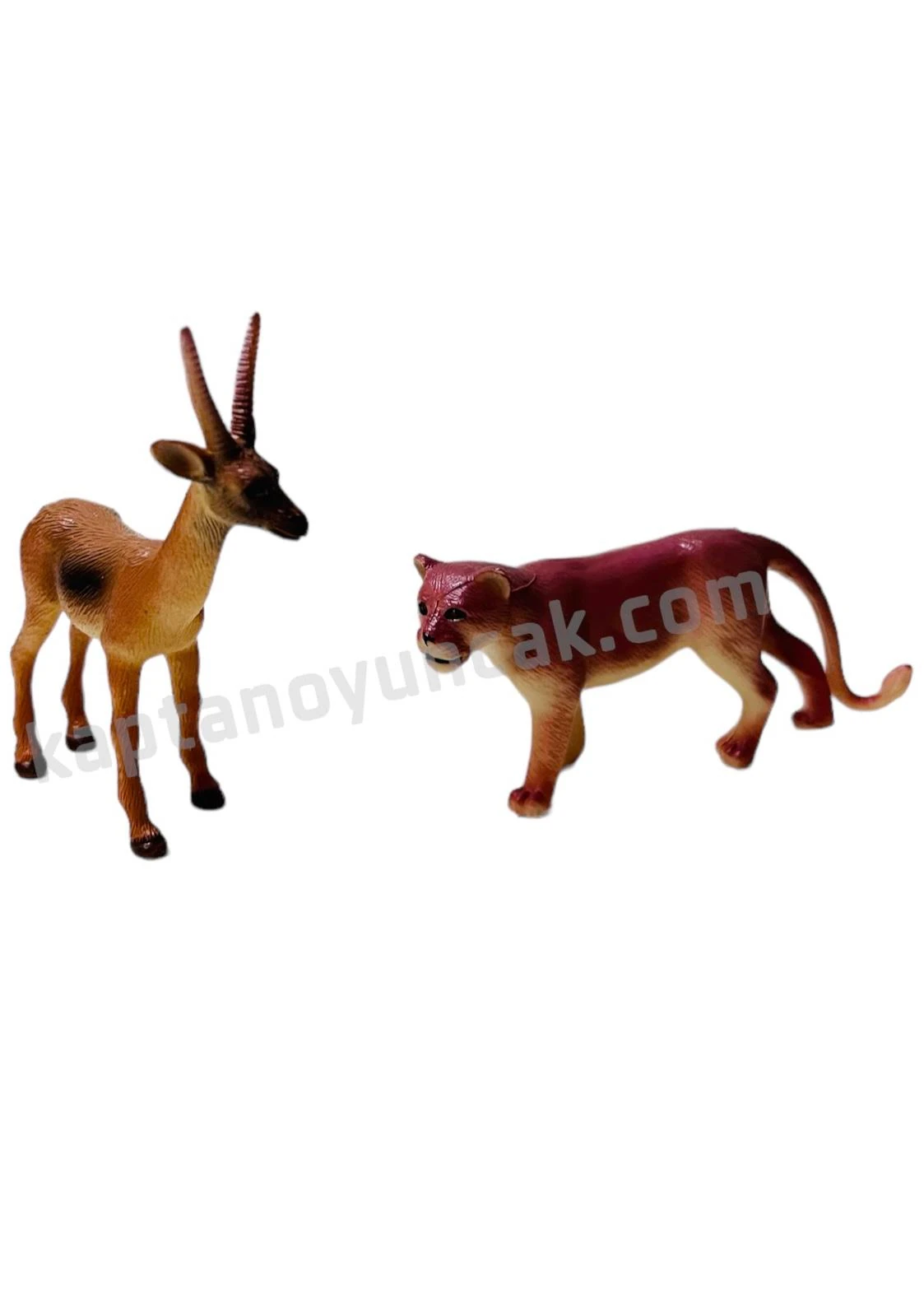 Vardem Kutulu 10 Parça Vahşi Hayvanları