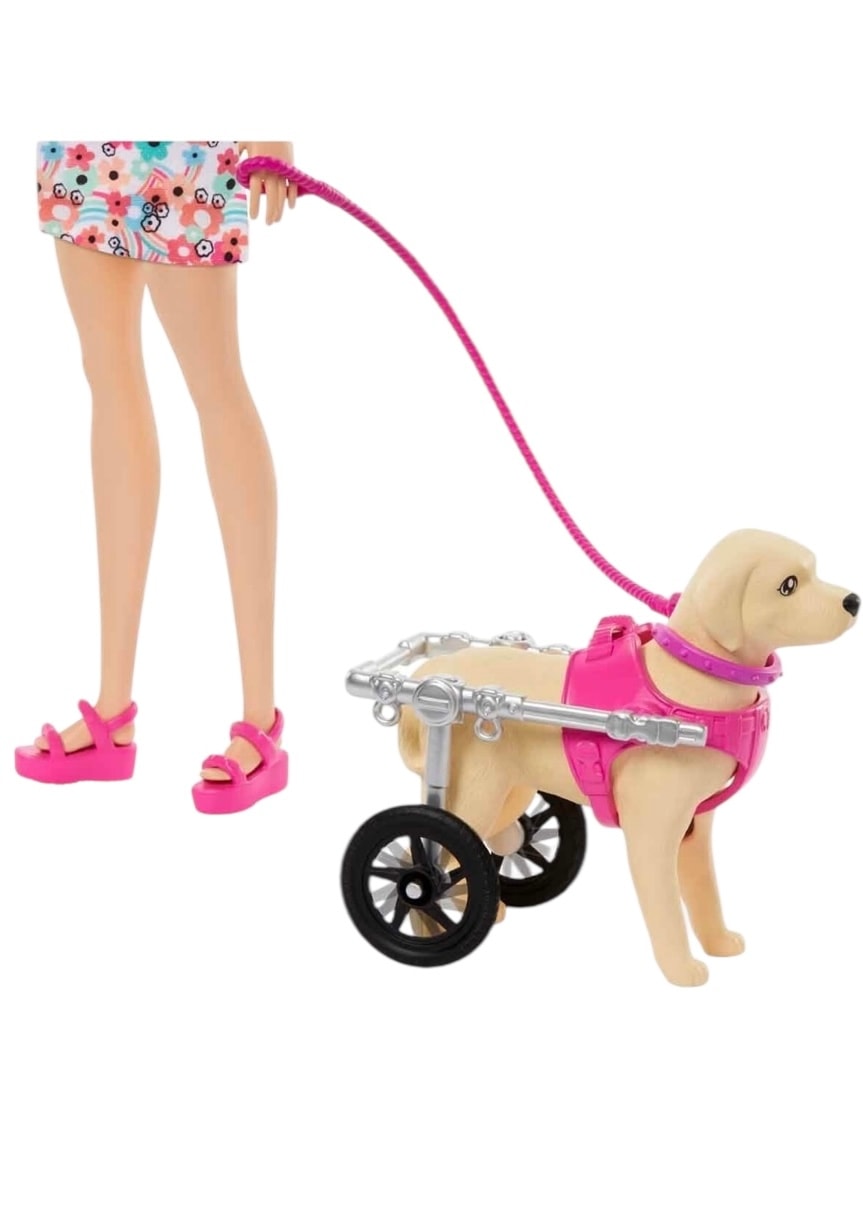 Barbie ve Engelli Köpeği Oyun Seti HTK37