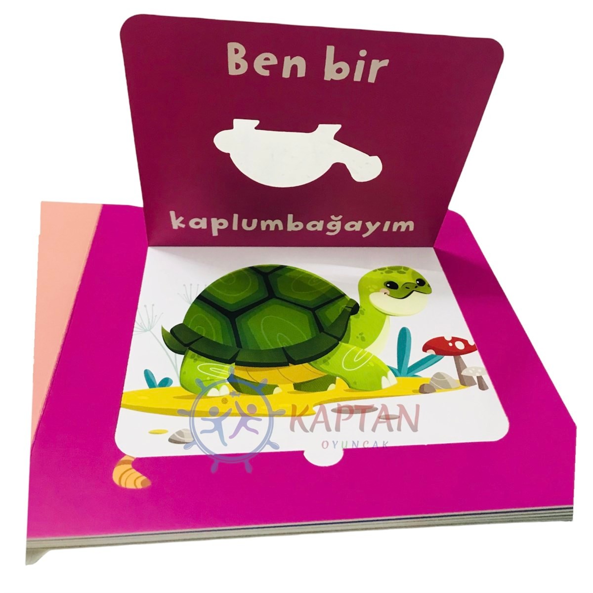Bak-Bul-Sobe Meraklı Kedi