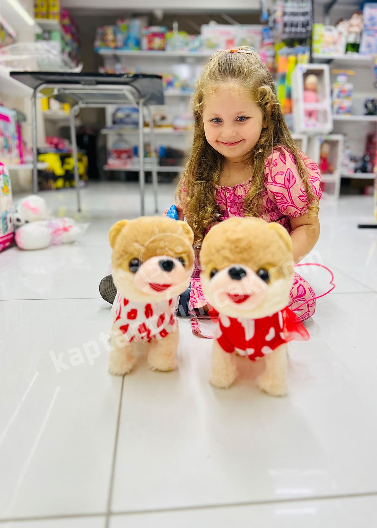 Süslü Köpek Pilli Kumandalı Sesli Yürüyen Sevimli Köpek