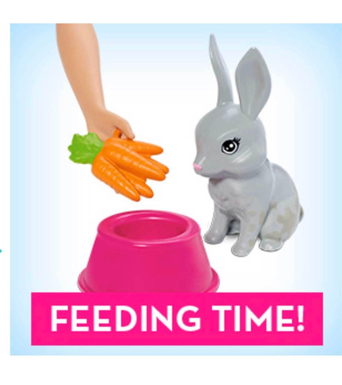 Barbie ve Hayvanları Banyo Eğlencesinde Oyun Seti