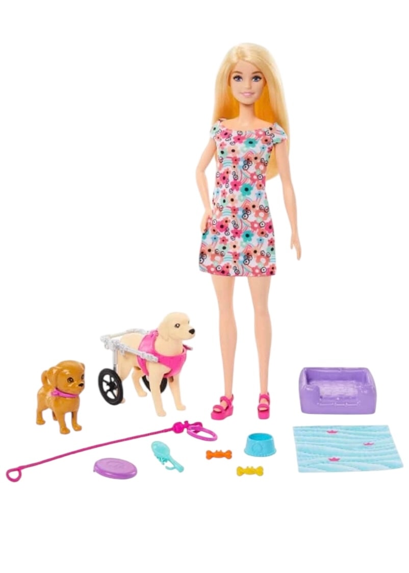 Barbie ve Engelli Köpeği Oyun Seti HTK37
