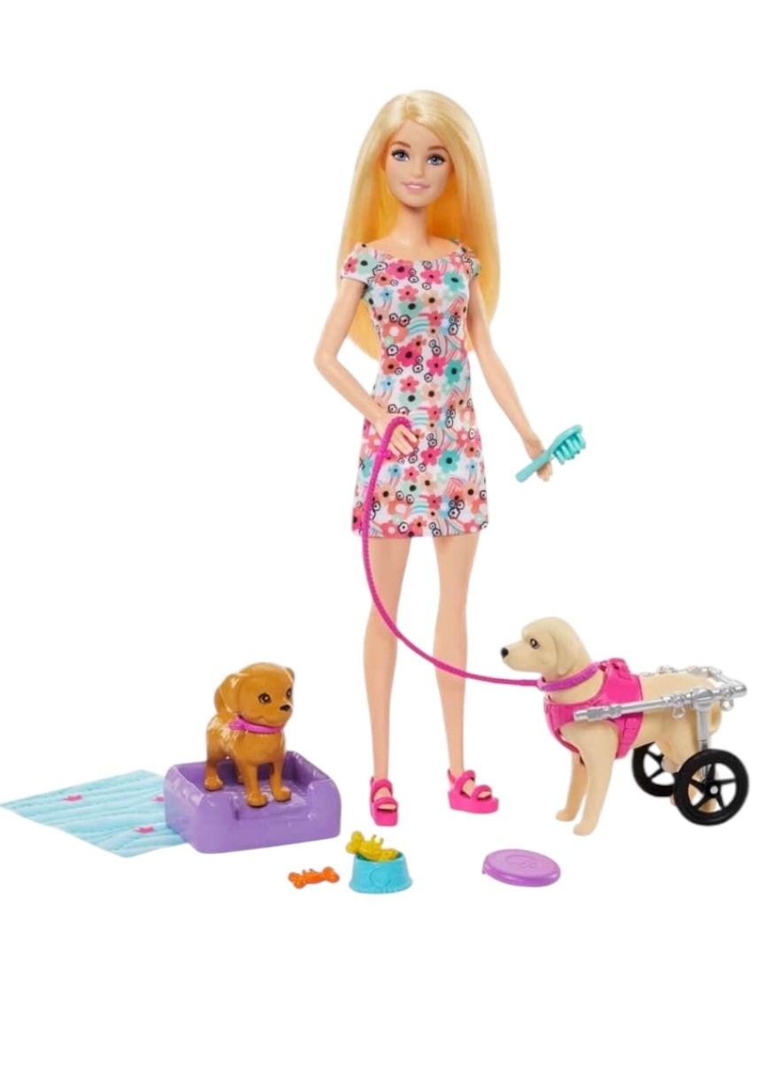 Barbie ve Engelli Köpeği Oyun Seti HTK37