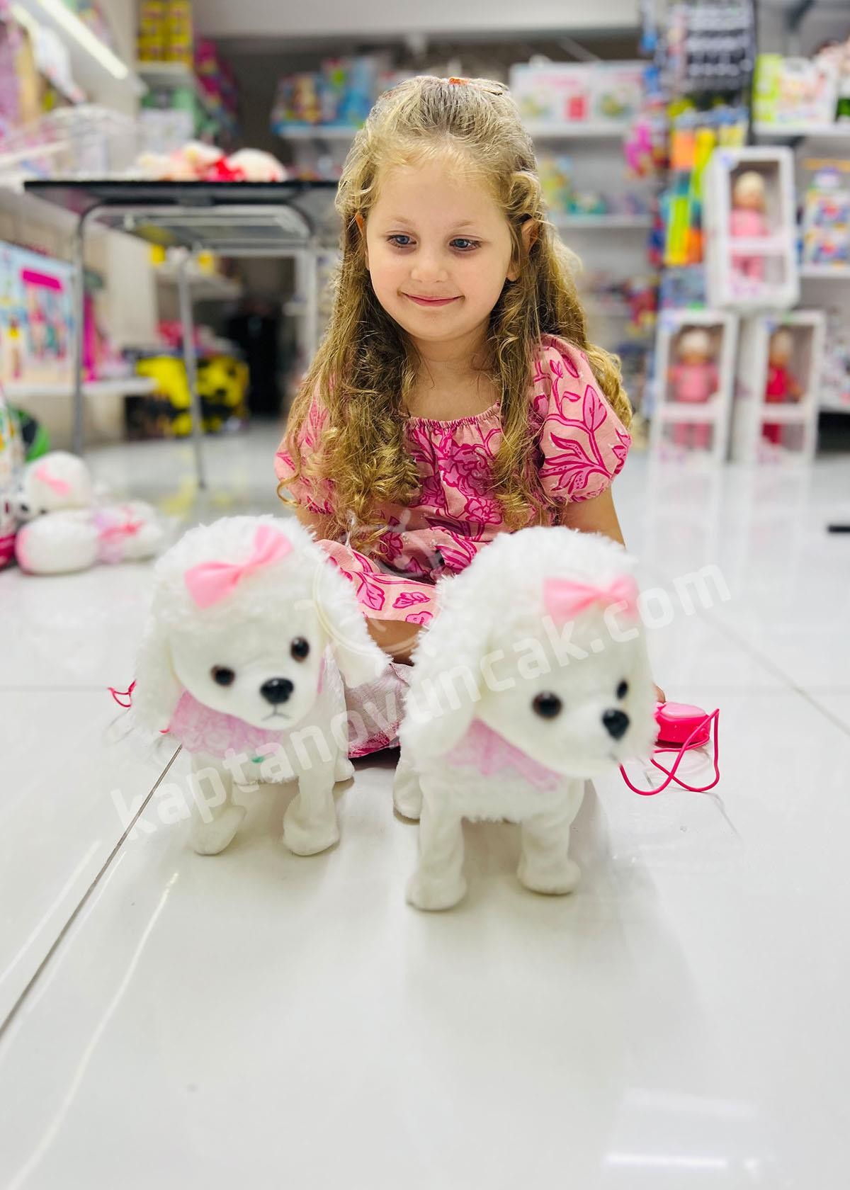 Tasmalı Pilli Kumandalı Sesli Yürüyen Tasmalı Süslü Köpek