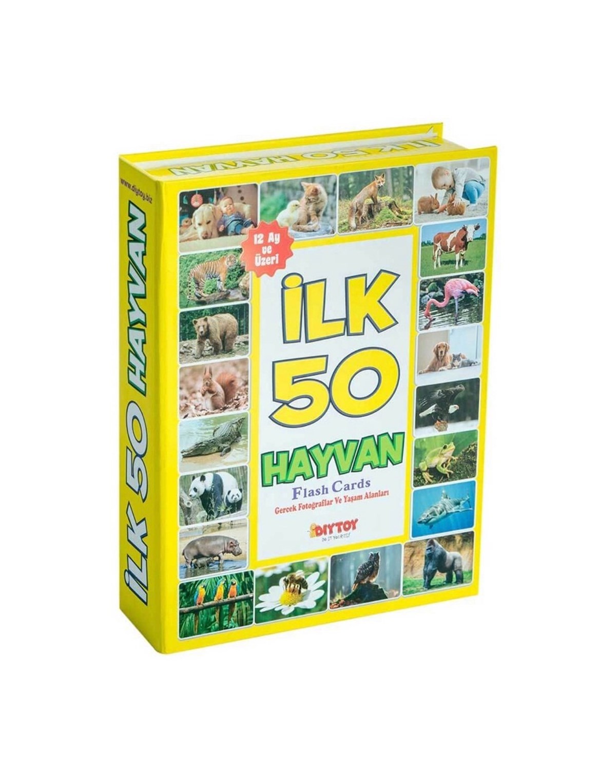 İlk 50 Hayvan Kartları Eğitici Öğretici Oyuncak