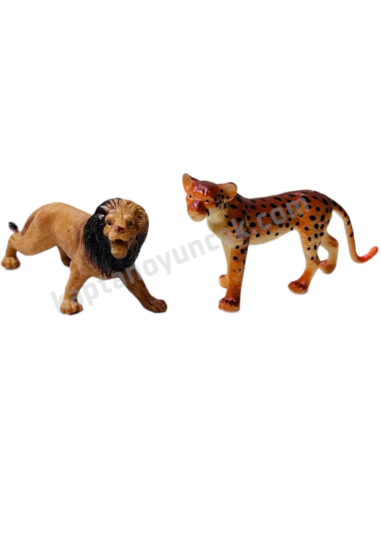 Vardem Kutulu 10 Parça Vahşi Hayvanları