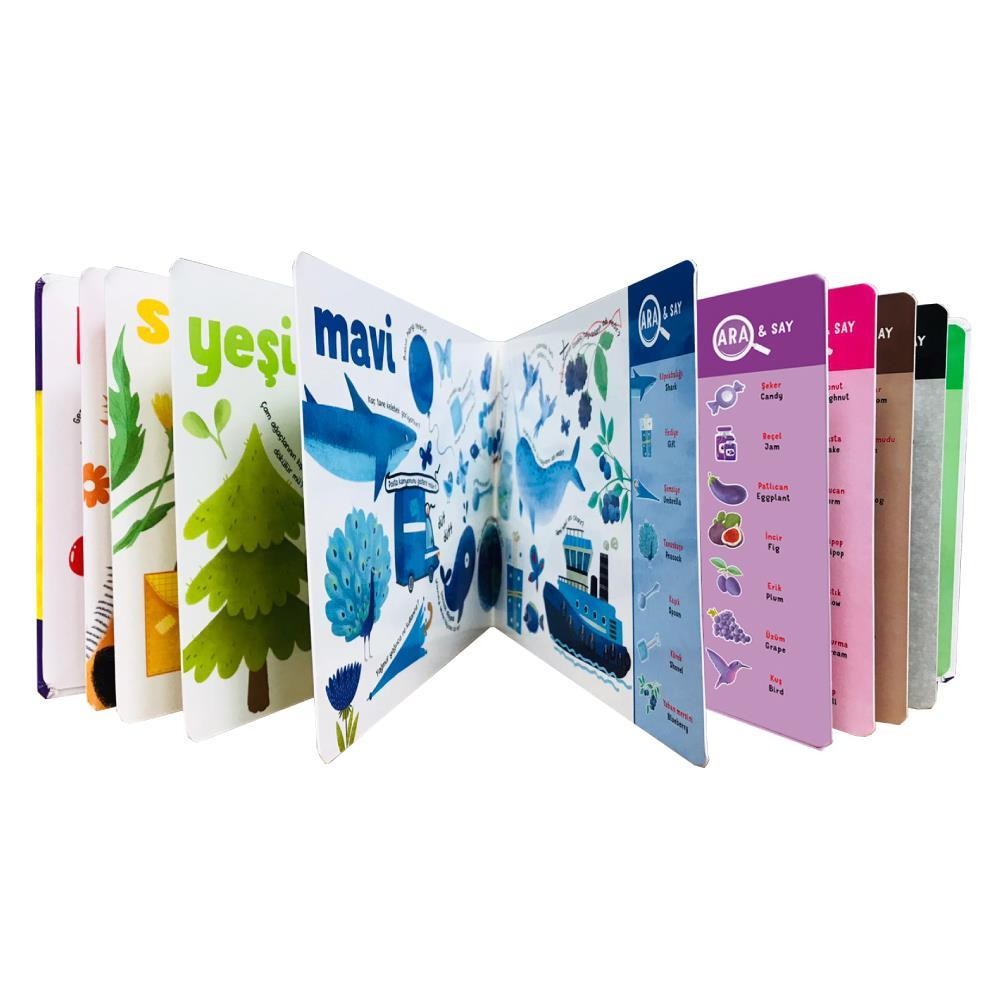 12-36 Ay Gizli Nesneler İlk Etkinlik Kitabım Seti (Sayılar - Renkler)