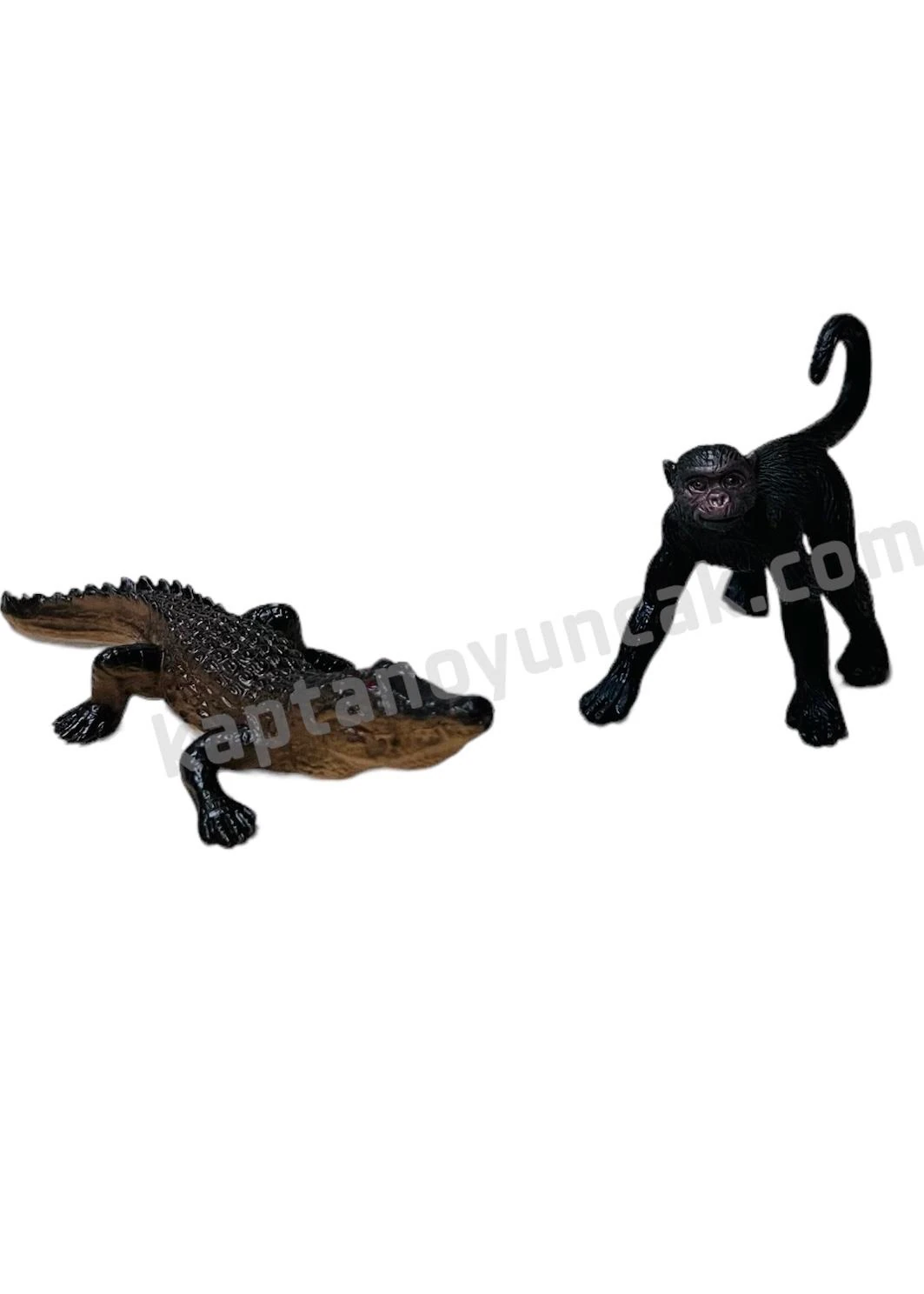 Vardem Kutulu 10 Parça Vahşi Hayvanları