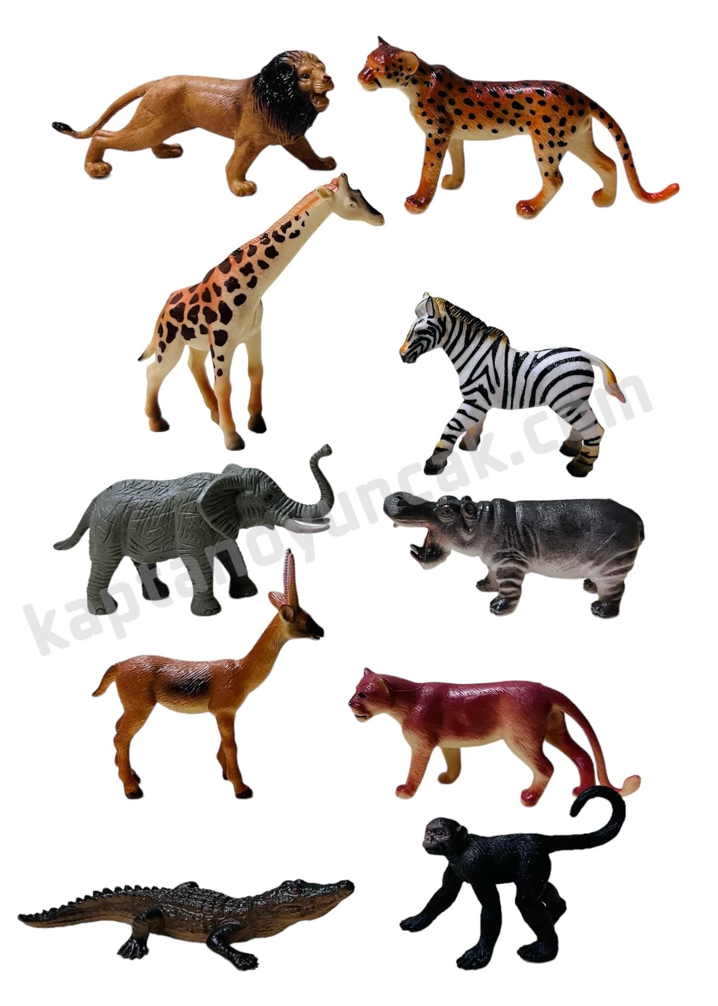 Vardem Kutulu 10 Parça Vahşi Hayvanları