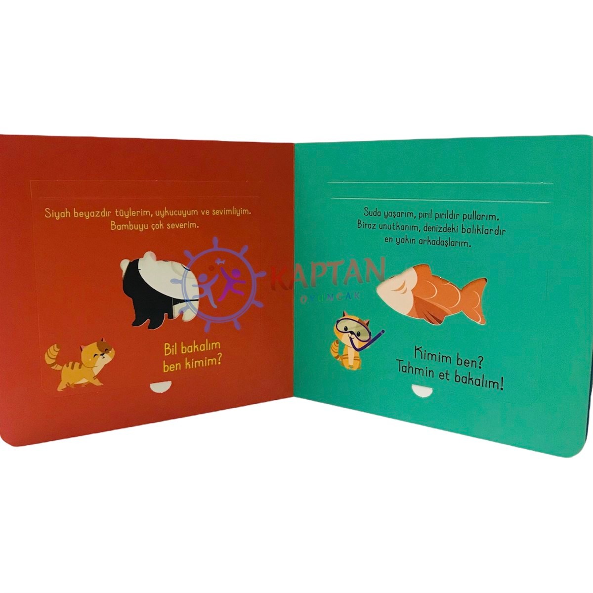 Bak-Bul-Sobe Meraklı Kedi