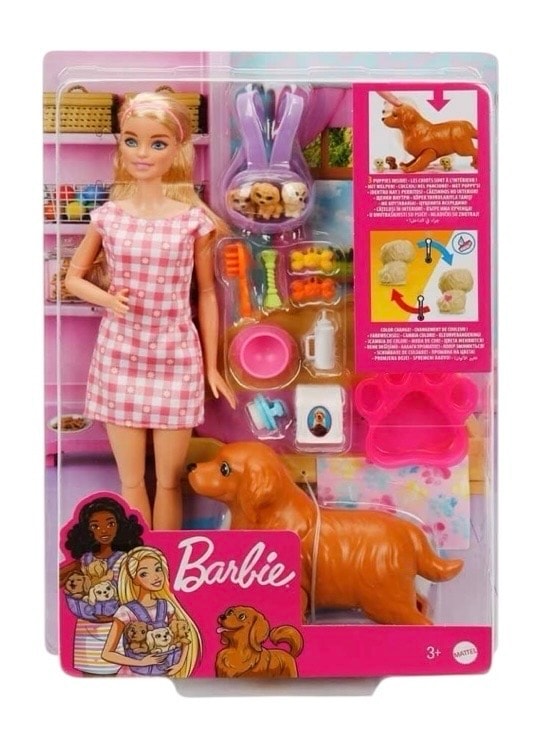 Barbie ve Hayvan Dostları HCK75